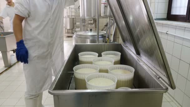 Diario Ricotta Cheese Factory Hombres Trabajo — Vídeos de Stock