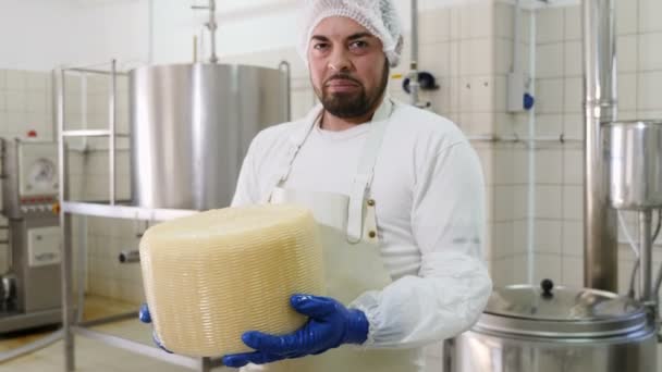 Fabricante Queso Mostrando Gran Forma Queso Diario Fábrica Queso — Vídeo de stock