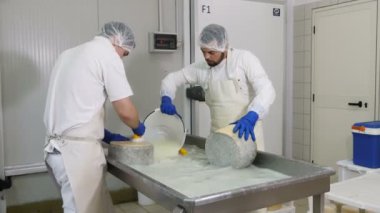 çalışan operatörler fabrika-peynir üretimi peynir