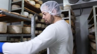 wirh küçük hummer-Diary peynir fabrikası baharat peynir kontrol