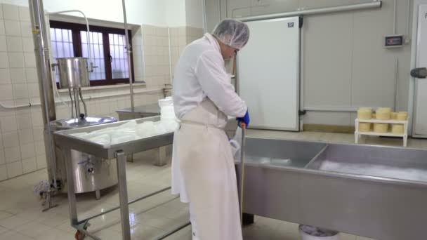 Diary Cheese Factory Operator Cleaning — Stock Video