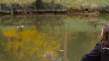 tekerlekli sandalye üzerinde üzgün ve depresyonda kadın göl contemplates