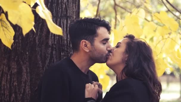 Amore Romanticismo Bacio Giovane Coppia Sotto Albero Bacia Teneramente — Video Stock