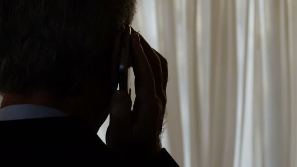 Tanınmayan Işadamı Mali Suçları Telefonu Dokunulduğunda Yapılıyor — Stok video