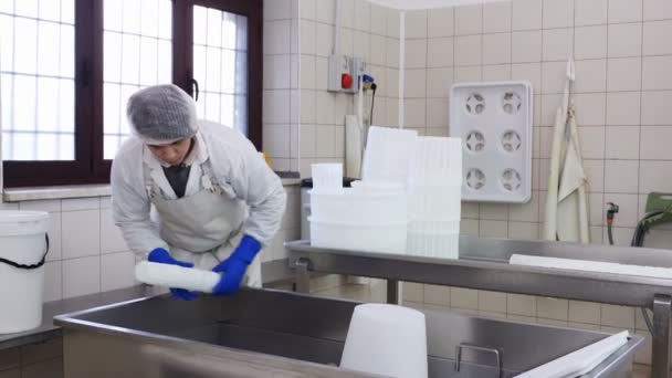 Homem Diário Que Pede Moldes Queijo Produção Queijo — Vídeo de Stock