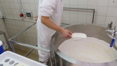  taze peynir dolum kalıpları. Günlüğü peynir fabrikası