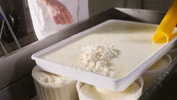 Produkcja Przechowywanie Serów Creamery Przetwarza Końcowe Etapy Produkcji Partii Sera — Wideo stockowe