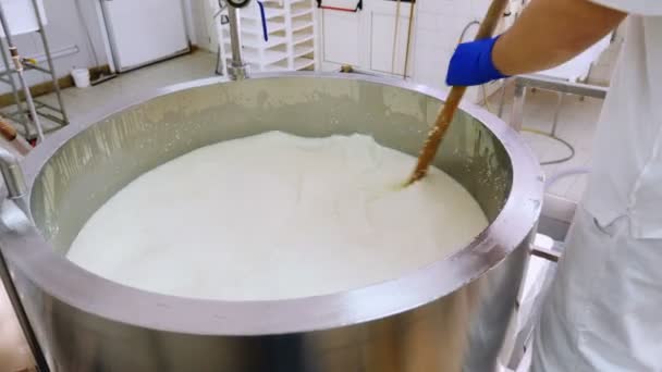 乳酪生产 操作员混合牛奶在釜里 — 图库视频影像