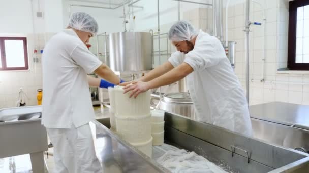 Fábrica Queijo Diário Fabricantes Queijo Trabalhando Moldes Queijo — Vídeo de Stock