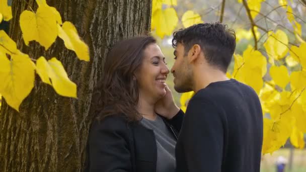 Романтичний Поцілунок Коханця Під Деревом Осінній День — стокове відео