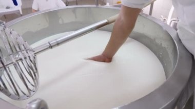 Günlüğü peynir fabrikası-el ile peynir yoğunluğunu kontrol