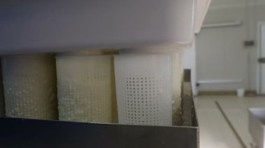 taze ricotta peynir peynir üretimi ile dolum kalıpları