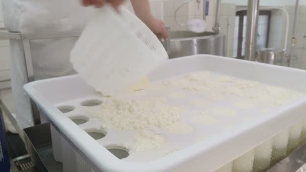 Diary Cheese Factory Operador Enchendo Moldes Com Queijo Fresco — Vídeo de Stock