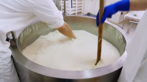 Mescolare Latte Nel Caseificio Produzione Del Calderone Diario — Video Stock