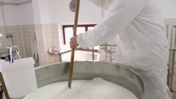 奶酪制造商在锅里混合牛奶 制作奶酪 芝士工厂 — 图库视频影像