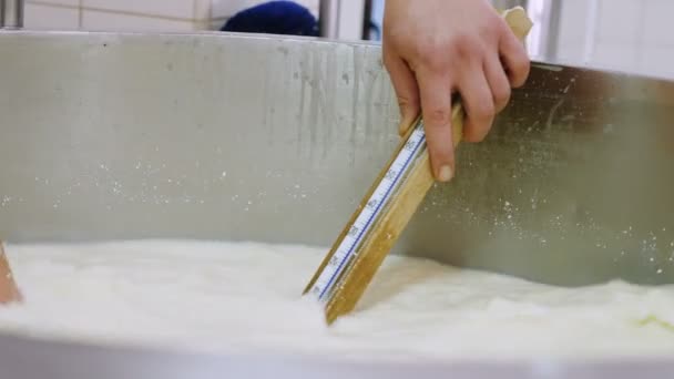 Travailleur Utilisant Thermomètre Pour Vérifier Température Lactosérum Fromage Journal Fromages — Video