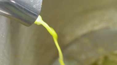 akan, zeytinyağı Zeytinyağı üretimi, Güney İtalya