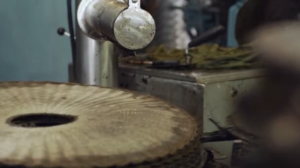 Molino Aceite Oliva Sur Italia Producción Aceite Oliva — Vídeo de stock