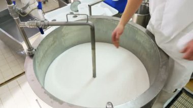 Peynir üretimi ve depolama. Mandıra peynirin son adımlarını işliyor..