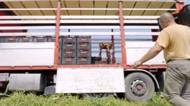 motoru kırıcı için yapmak-zeytin yağı Güney İtalya yapma