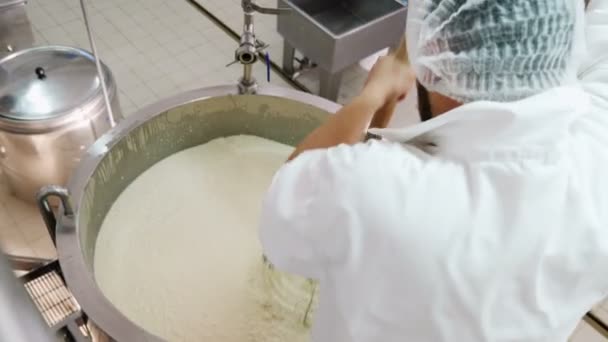 Cheese Factory Making Cheese Cheese Maker Ordering Ricotta Molds — Video Stock