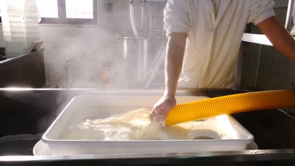 Cheese Factory Making Cheese Cheese Maker Ordering Ricotta Molds — Stok video