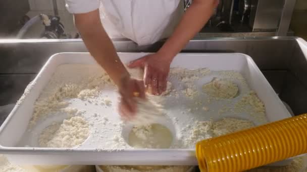 Cheese Factory Making Cheese Cheese Maker Ordering Ricotta Molds — Αρχείο Βίντεο