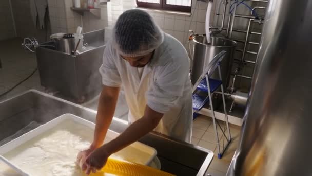 Cheese Factory Making Cheese Cheese Maker Ordering Ricotta Molds — Stockvideo