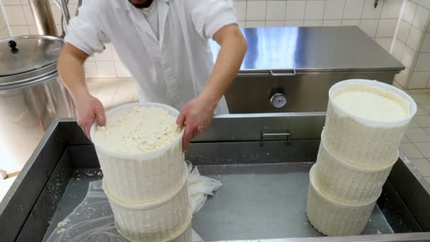 Cheese Factory Making Cheese Cheese Maker Ordering Ricotta Molds — Video Stock