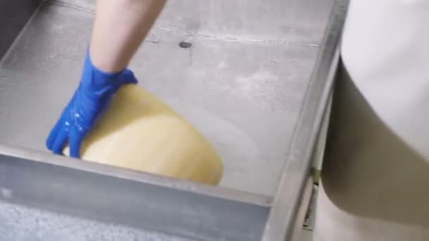 Peynir Fabrikası Yakın Yapma — Stok video