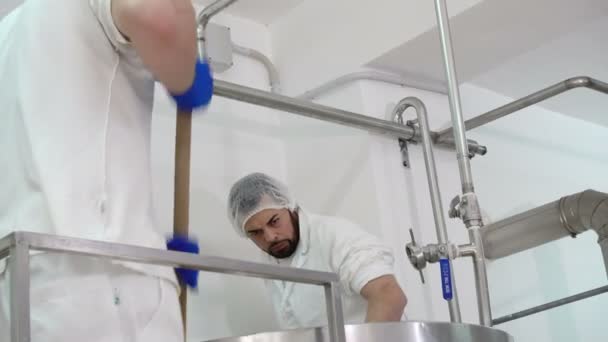 Sera Sprawdzanie Temperatury Cheese Factory — Wideo stockowe