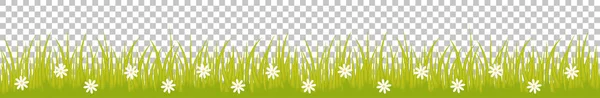 Grass line seamless with white flowers — Stock Vector