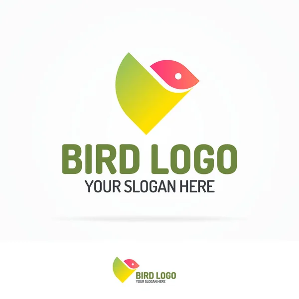 Bird logo set geometric modern flat color style for your business corporate identity — Stock Vector