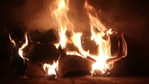 Close-up van vlam en sintels branden in een houtgestookte oven. — Stockvideo