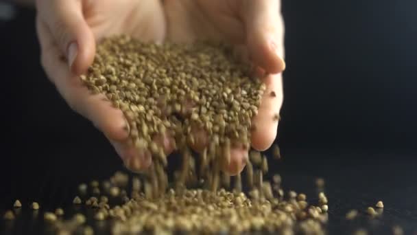 Female hands pours buckwheat grain. Slow motion — Stock Video