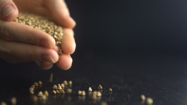 Female hands pours buckwheat grain — Stock Video