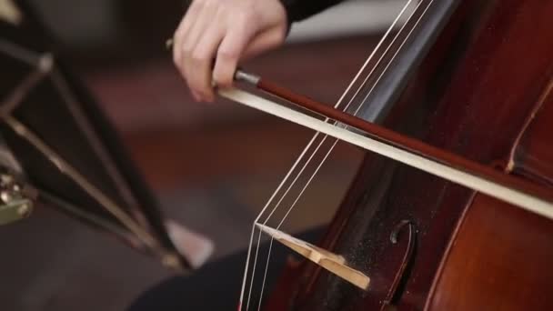 Musicista ragazza che suona con violoncello violoncello — Video Stock