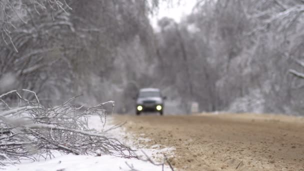 Conduite le long de la route avec des arbres tombés, après une tempête de verglas intense — Video