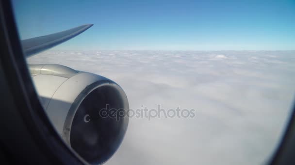 Avión vuela en las nubes. turbulencia. vista desde la ventana del avión — Vídeos de Stock