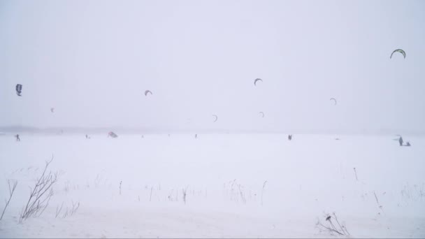 Wintersneeuw vliegeren op het veld van de winter. Sneeuwval — Stockvideo