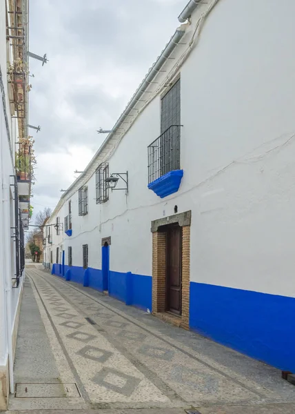 Voetgangers Straat Van Een Dorp Spanje Met Kleurrijke Kleuren — Stockfoto