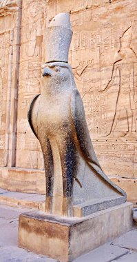 Edfu Tapınağı 'ndaki Antik Mısır şahin tanrısı Horus heykeli. Mısır