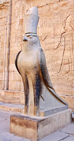 Antica Statua Egizia Del Dio Falco Horus Tempio Edfu Egitto — Foto Stock