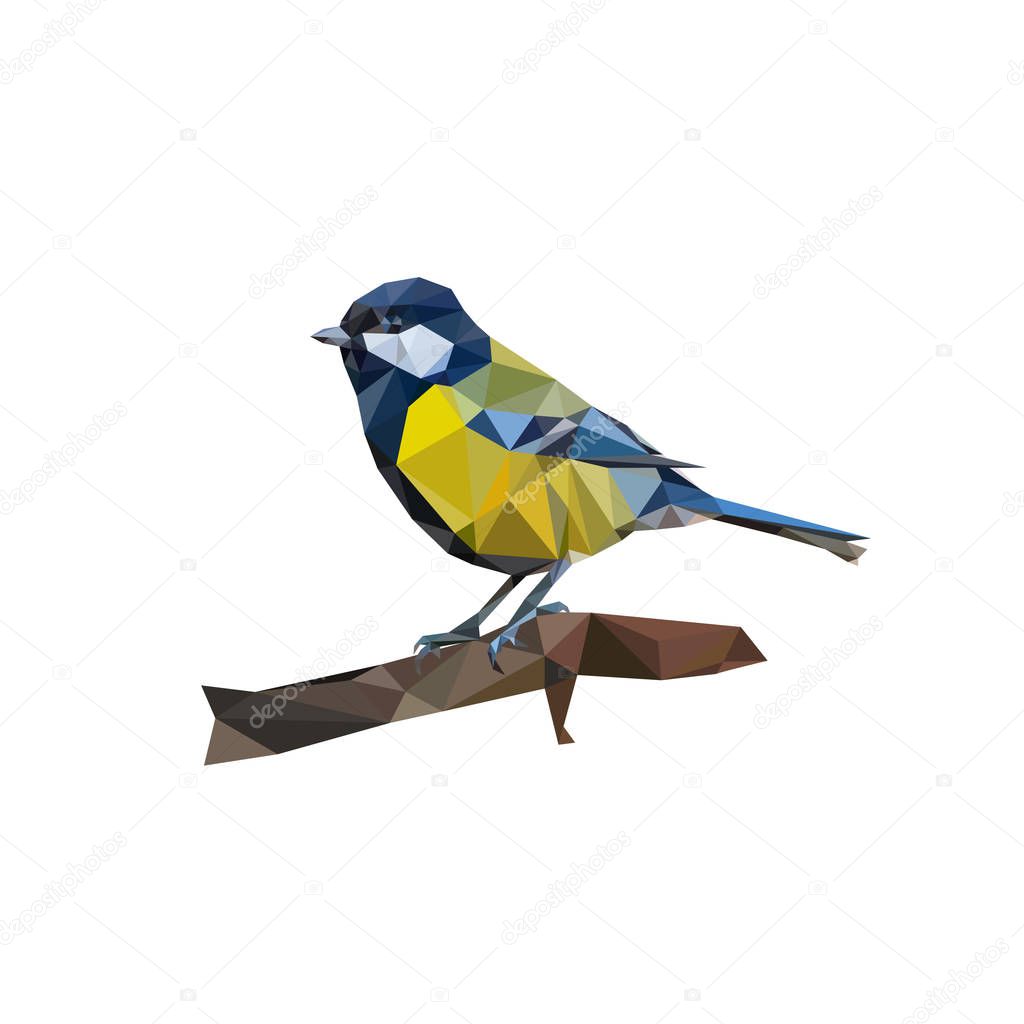 Polygonal Tit bird sitting on branch isolated on white background, vector illustration