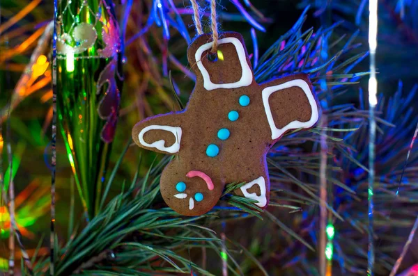 Christmas cookies hanging on the Christmas tree — Stock Photo, Image