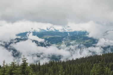 Güzel dağlar peyzaj Carpathian.The vahşi doğada