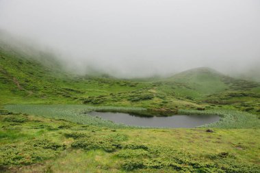 Güzel dağlar peyzaj Carpathian.The vahşi doğada