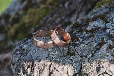 evli insanlar için güzel altın alyans