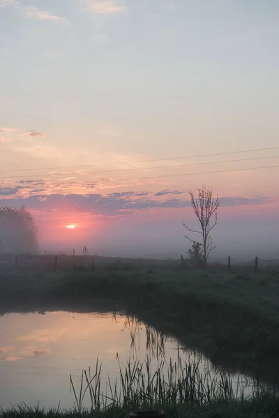 Wunderschöner Nebliger Sonnenaufgang Ukraine Nebel Auf Dem Feld Unberührte Natur — Stockfoto
