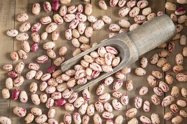 Pinto beans on wooden spoon